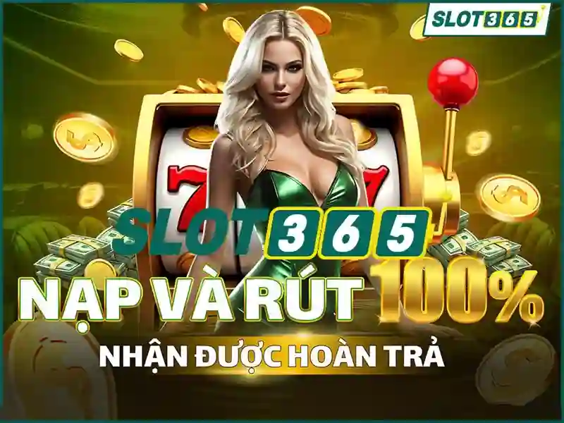 Khuyến mãi và chương trình thưởng