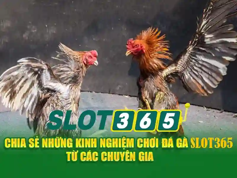 Uu diem cua Slot365