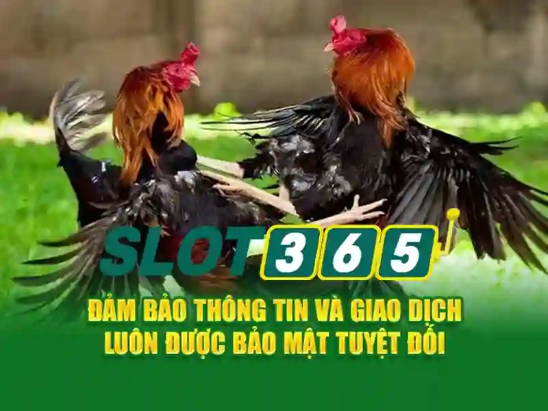 Khuyến mãi và ưu đãi tại Slot365