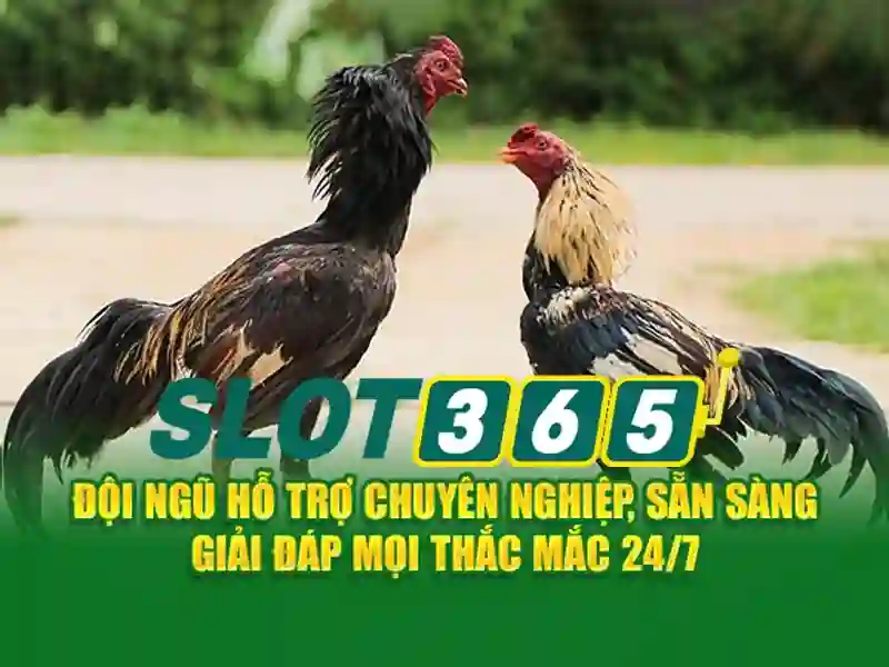 Hướng dẫn các bước nạp tiền vào tài khoản game