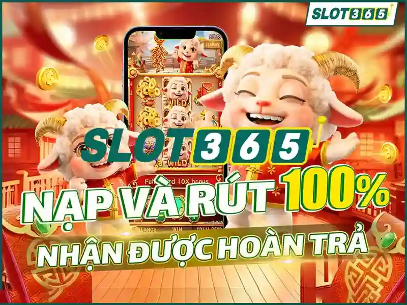 Slot365: Nền tảng casino trực tuyến phổ biến