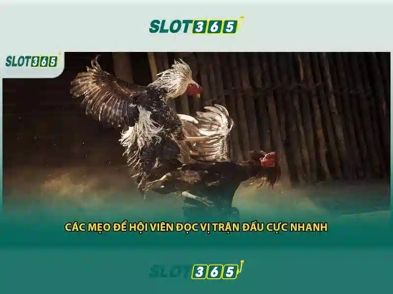 Slot365: Trải nghiệm casino trực tuyến uy tín tại Việt Nam