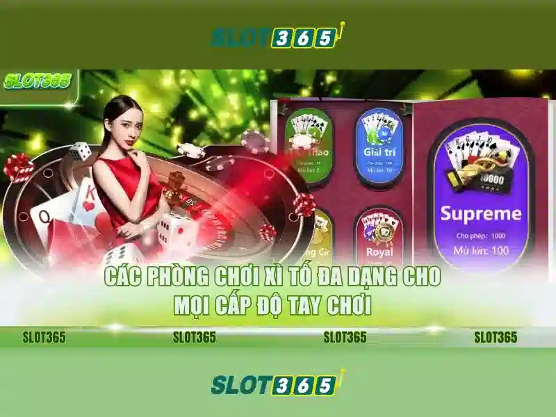 Khuyến mãi và chăm sóc khách hàng 