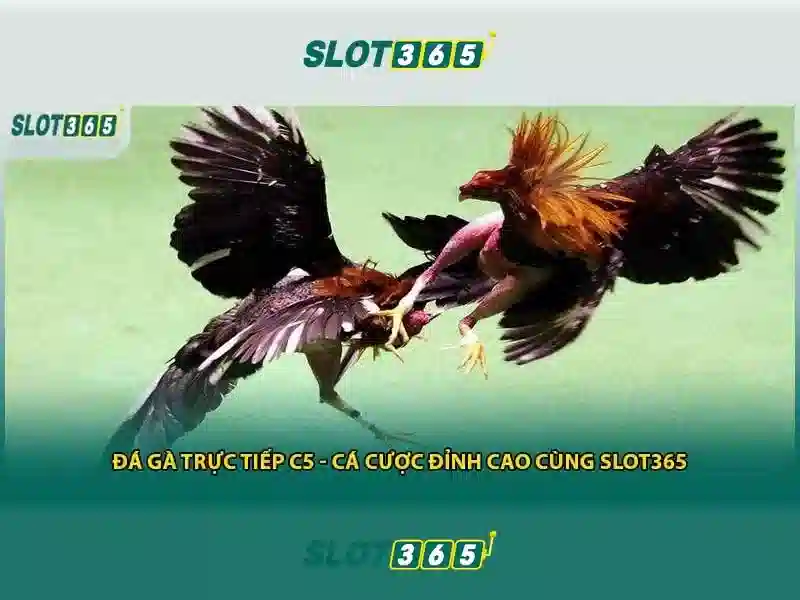 Đặc điểm nổi bật của Slot365