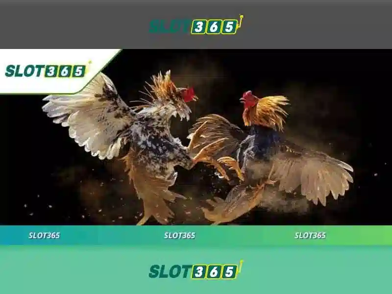 Slot365: Trải nghiệm sòng bạc trực tuyến đỉnh cao