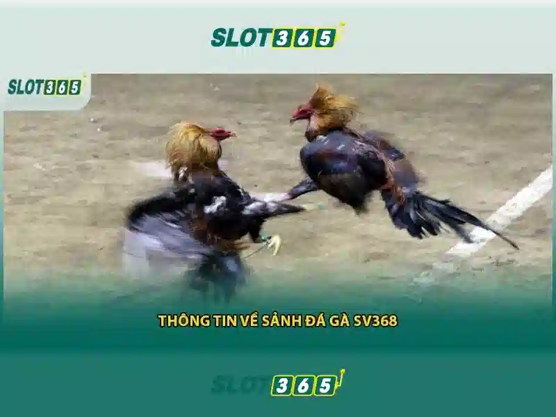 Slot365: Cổng trò chơi đánh bạc trực tuyến