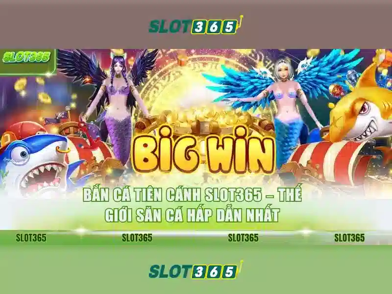 Cận cảnh giao diện nhập mã code trên ứng dụng Slot365