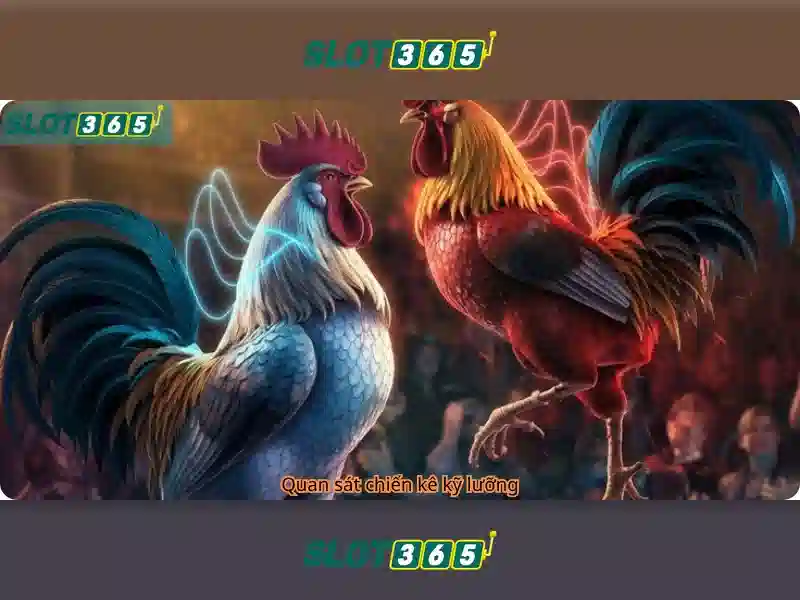 Danh mục trò chơi và khuyến mãi