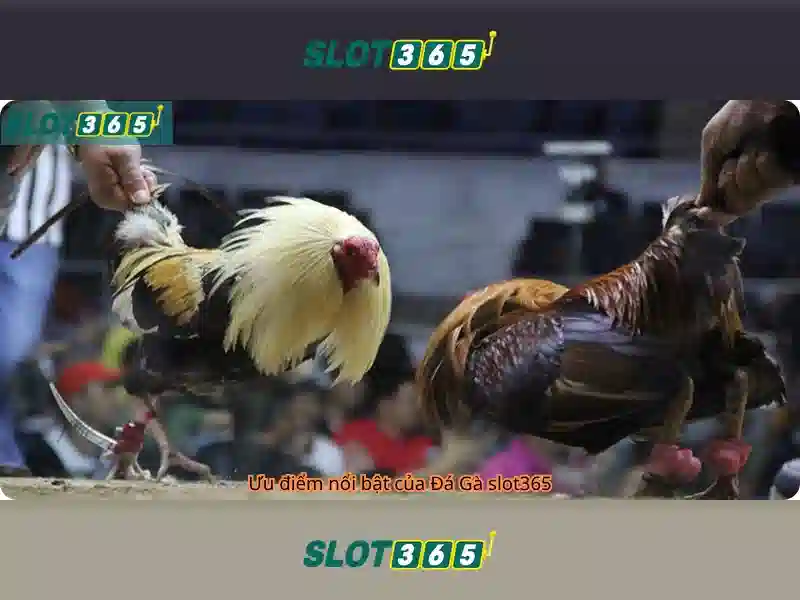 Slot365 – Nền tảng trò chơi máy đánh bạc trực tuyến