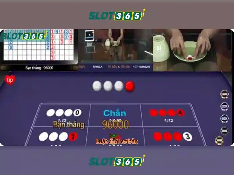 Slot365: Khám phá nền tảng trò chơi slot trực tuyến