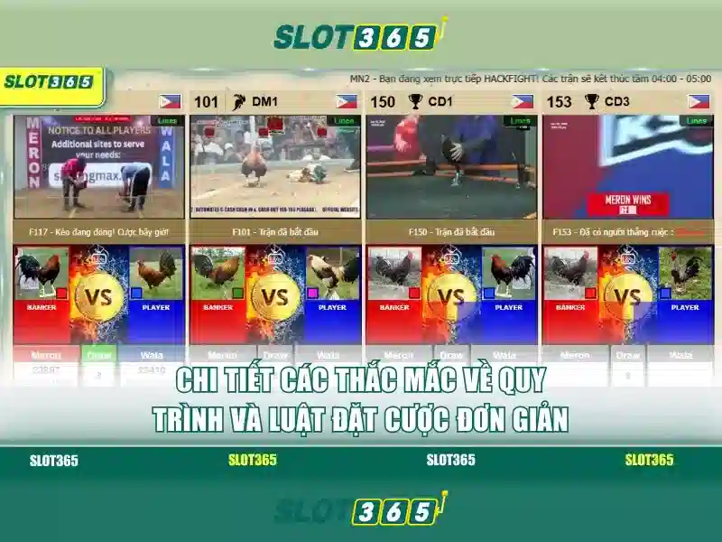 Slot365: Trang web casino trực tuyến với danh mục trò chơi slot đa dạng