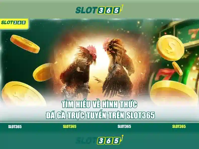 Slot365: Ưu điểm nổi bật của Slot365