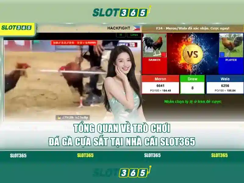 Slot365: Nền tảng trò chơi trực tuyến và những điều bạn cần biết
