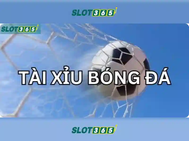 Khuyến mãi và chương trình thưởng