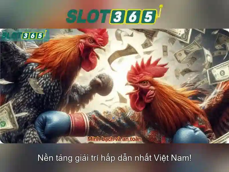 Khuyến mãi và thanh toán an toàn