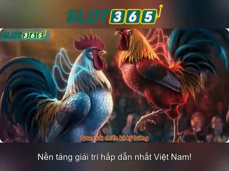 Khuyến mãi và an toàn khi chơi tại Slot365