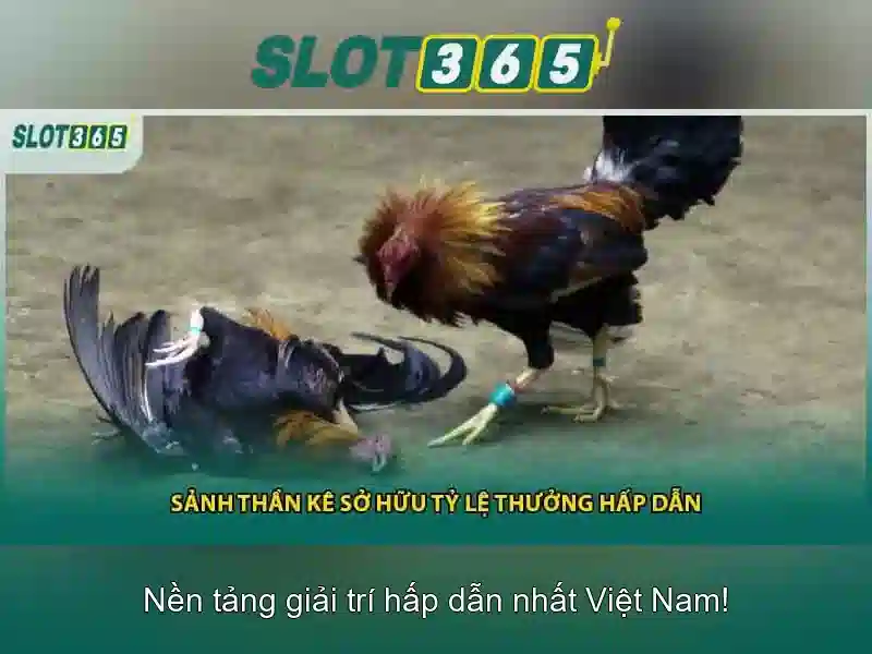 Các trò chơi và nhà cung cấp tại Slot365