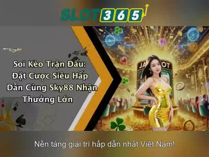 Trải nghiệm người dùng và thanh toán