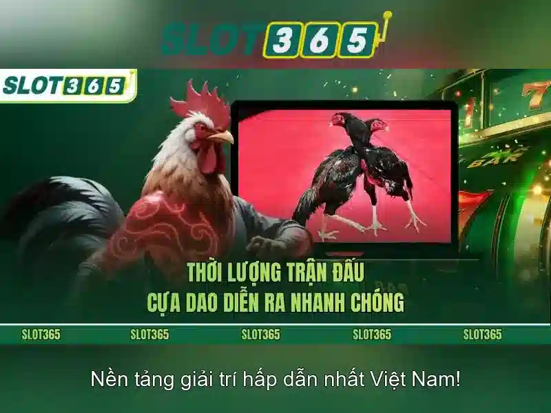 Slot365 - Nền tảng xèng trực tuyến uy tín