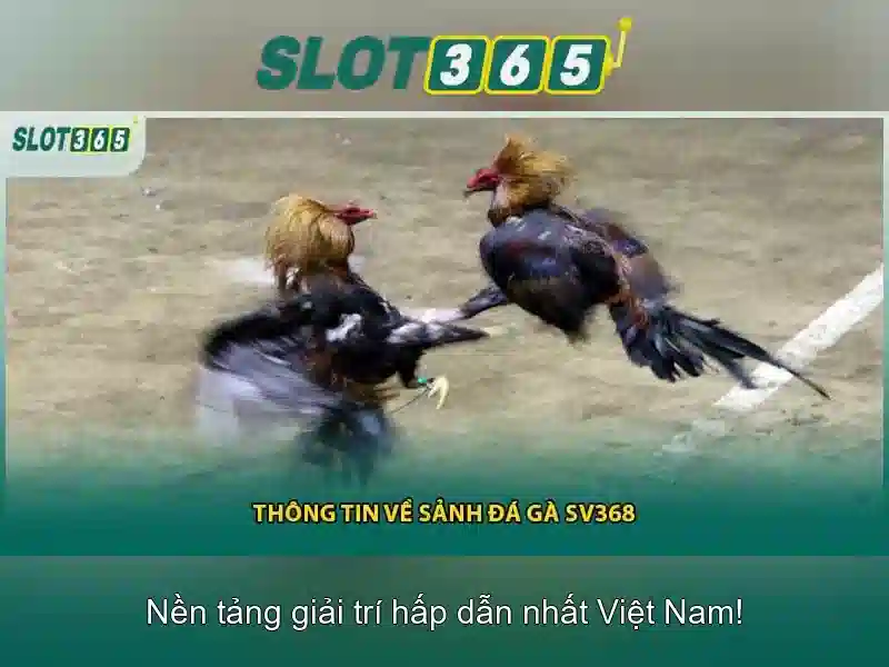 Slot365: Đánh giá nền tảng chơi slot trực tuyến và trải nghiệm người dùng