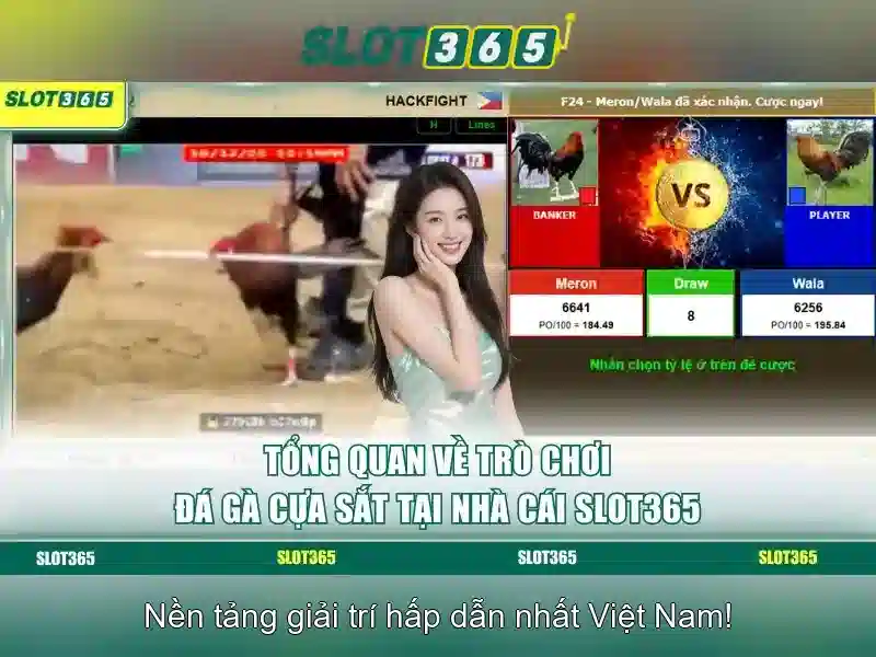 An toàn và thanh toán tại Slot365