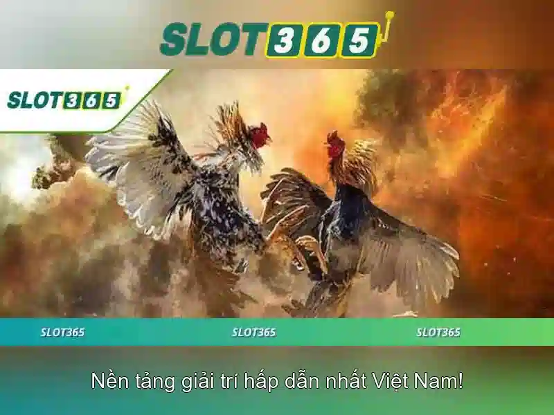 slot365-how-to-contact