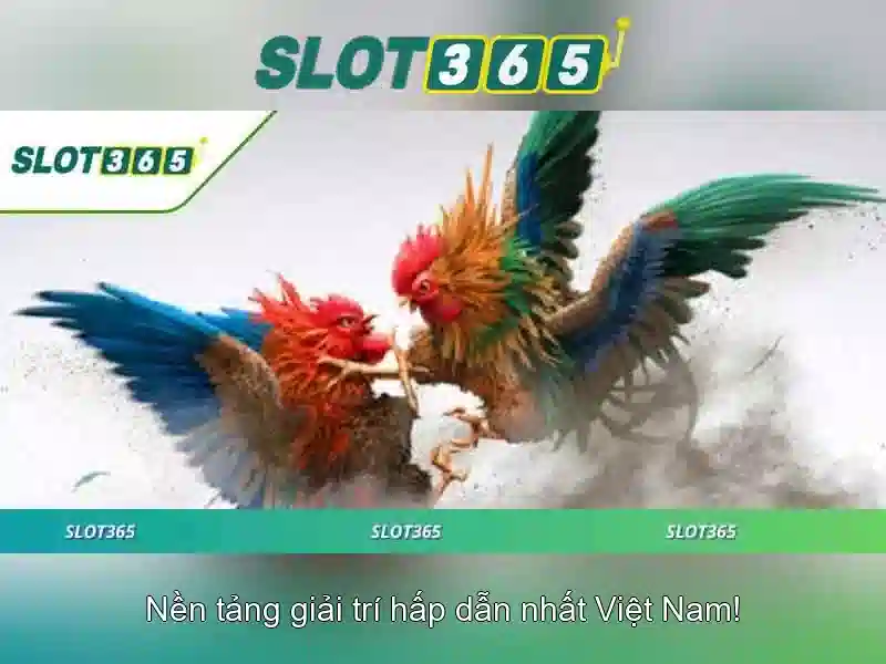 Slot365: Đánh giá nhanh về nền tảng chơi slot trực tuyến
