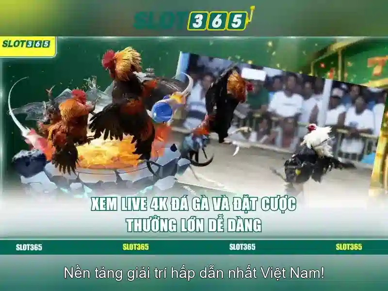 slot365_intro