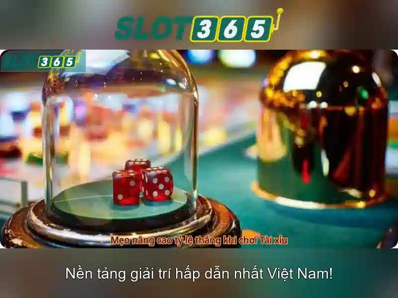 Giao diện và trải nghiệm người dùng