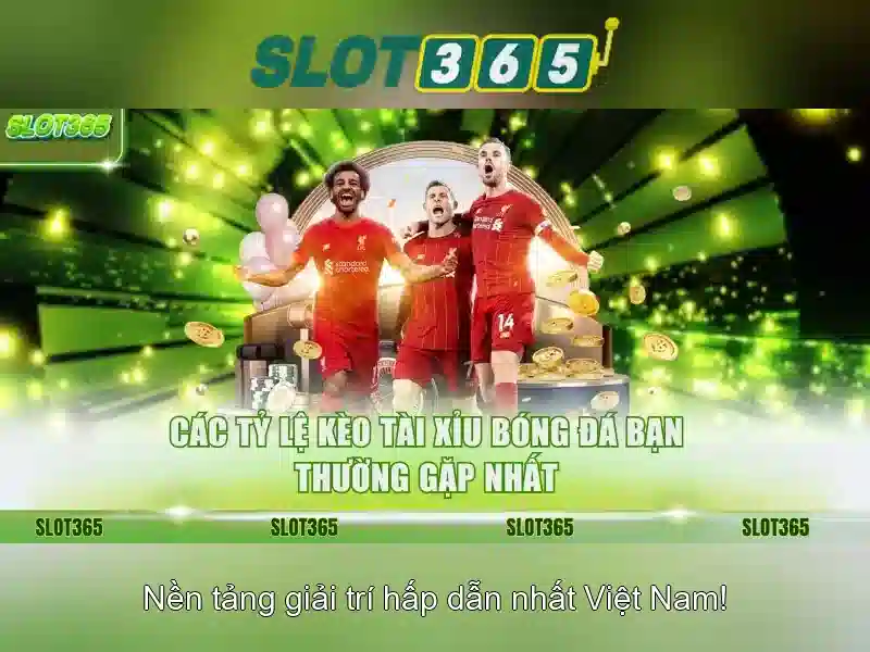 Độ tin cậy và hỗ trợ khách hàng