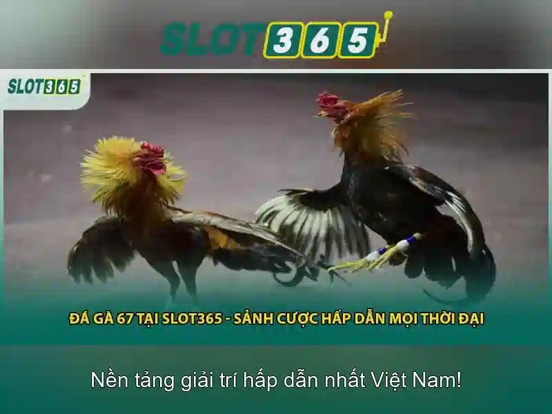 Slot365 – Trải nghiệm chơi slot đỉnh cao trên mạng