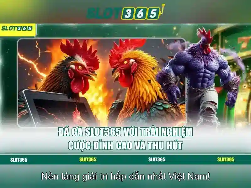 Slot365 là gì?
