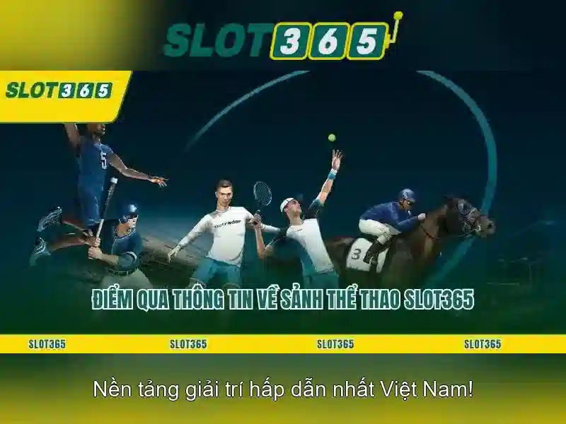 Trải nghiệm người dùng và di động