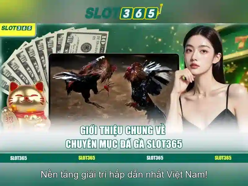 Tại sao Slot365 nổi bật?