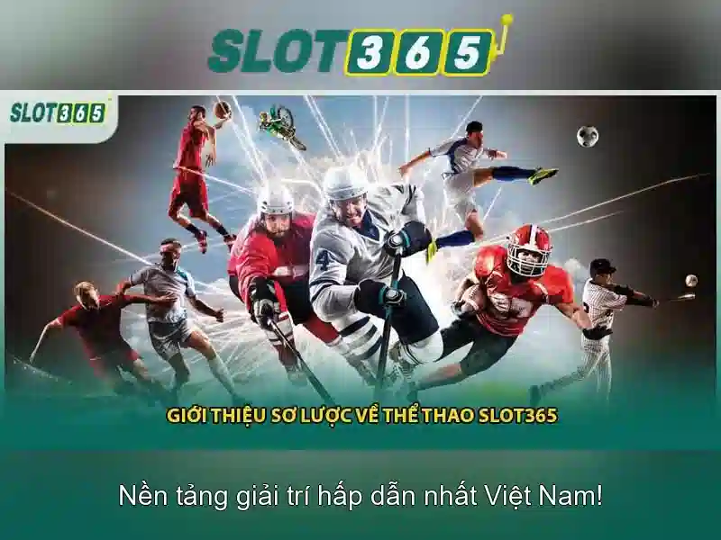 Slot365: Đánh giá tổng quan về nền tảng cá cược trực tuyến