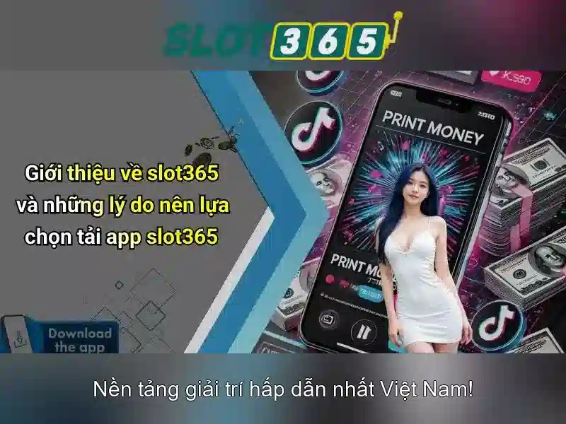 Trải nghiệm người dùng và đánh giá