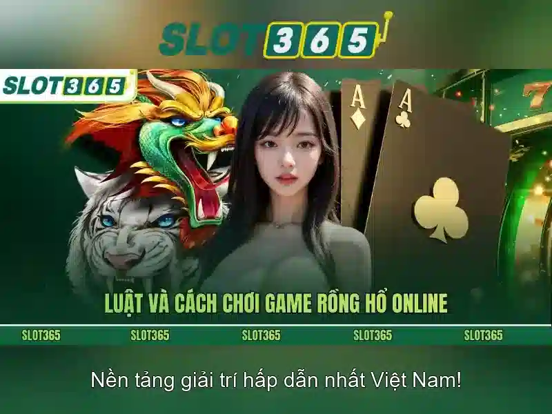 Các trò chơi và trải nghiệm