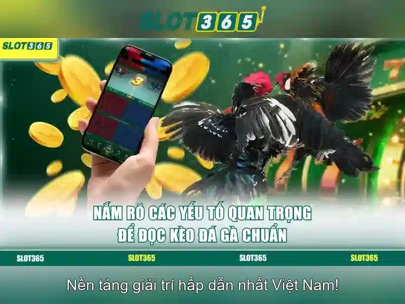 Slot365 - Tổng quan về nền tảng máy đánh bạc trực tuyến