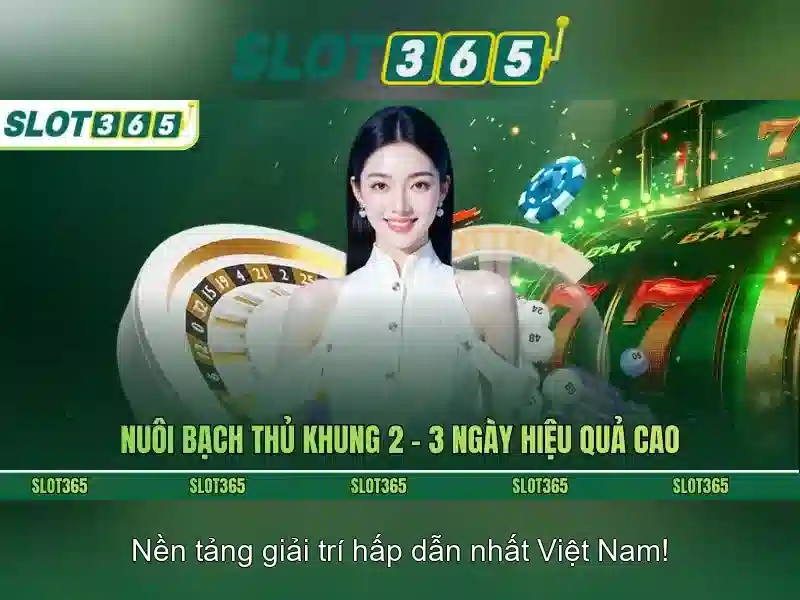 Slot365: Tổng quan về nền tảng cược trực tuyến