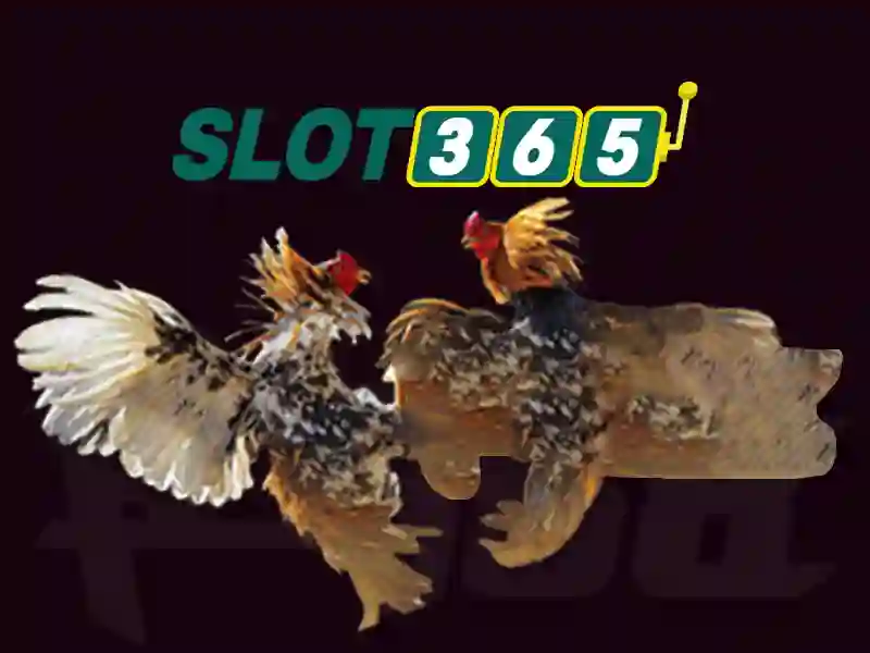 Giao dien Slot365 tren PC