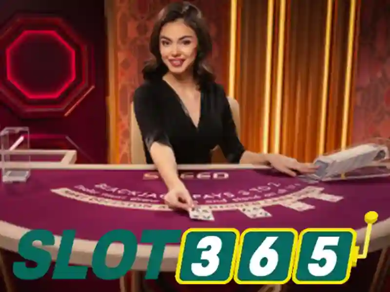 Slot365: Tong quan ve nen tang slot truc tuyen
