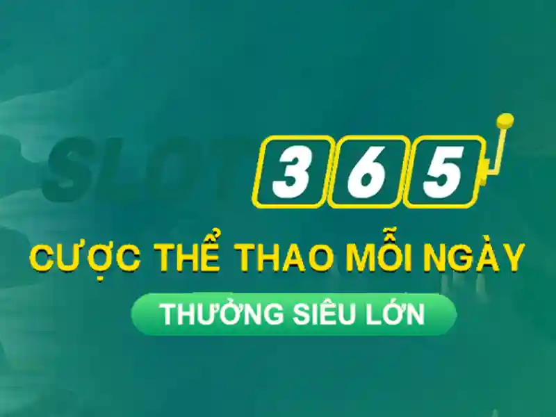 Giao diện và trải nghiệm người dùng