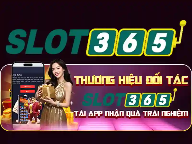 Thiết kế và trải nghiệm người dùng