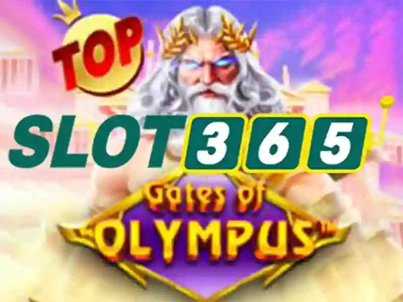 slot365-terms